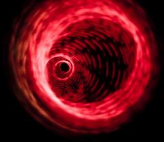 why the internet is a black hole for your brain