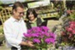 'it's gone so quickly.' couple celebrates 20 years at garden centre